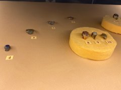 2106202311506.jpg